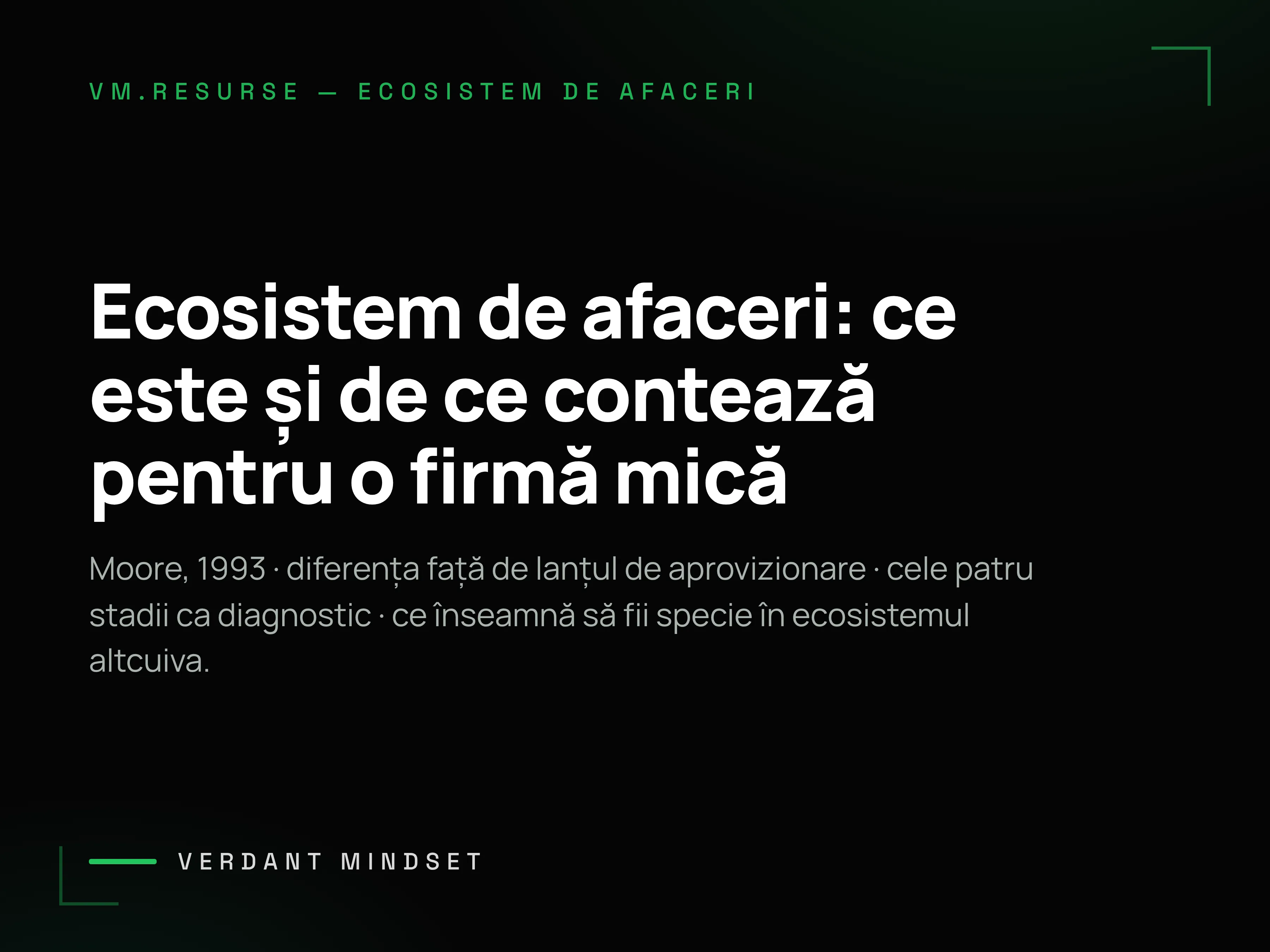 Ecosistem de afaceri — ce este și de ce contează pentru o firmă mică