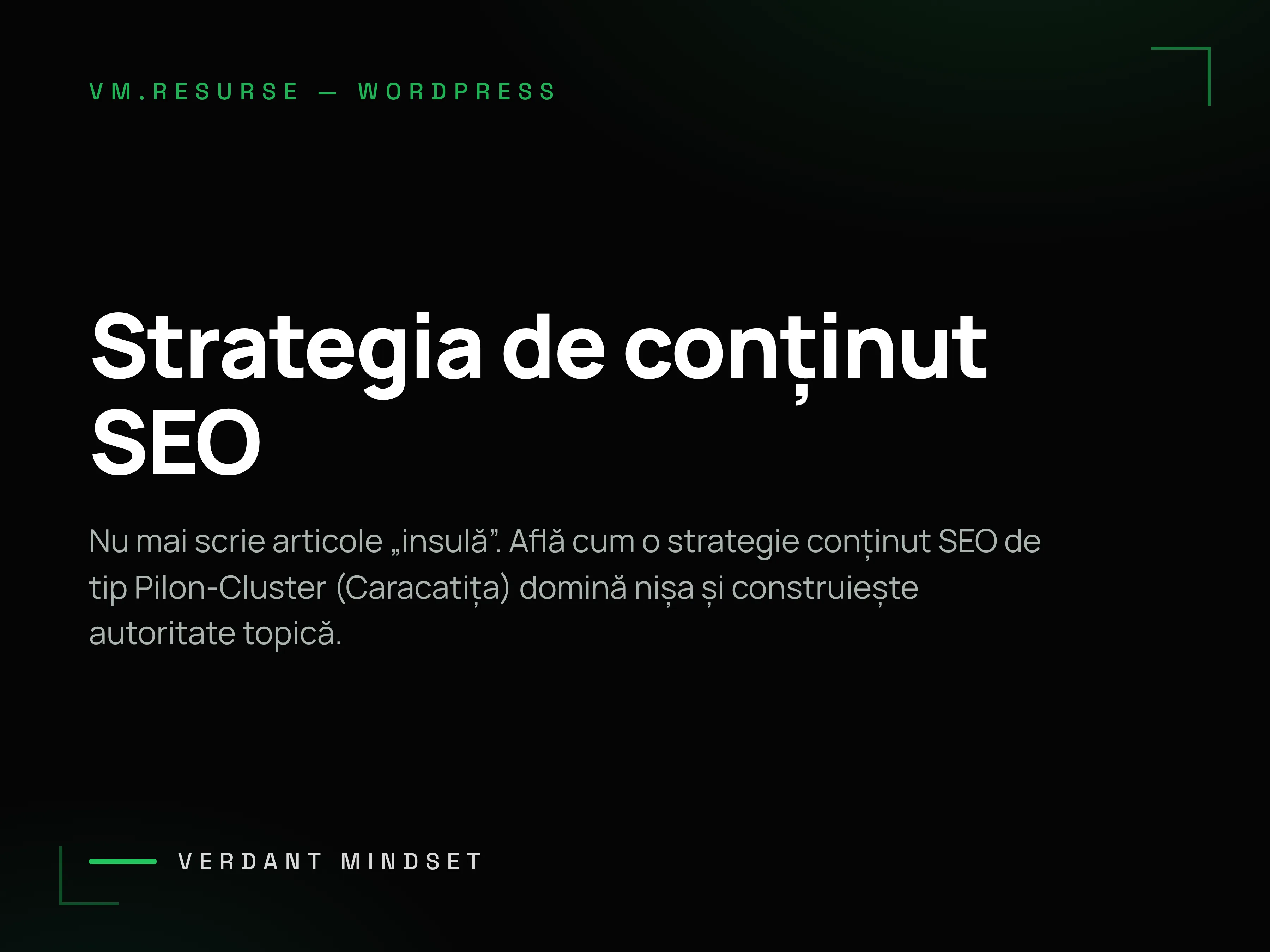 Strategia de conținut SEO cu modelul caracatiță