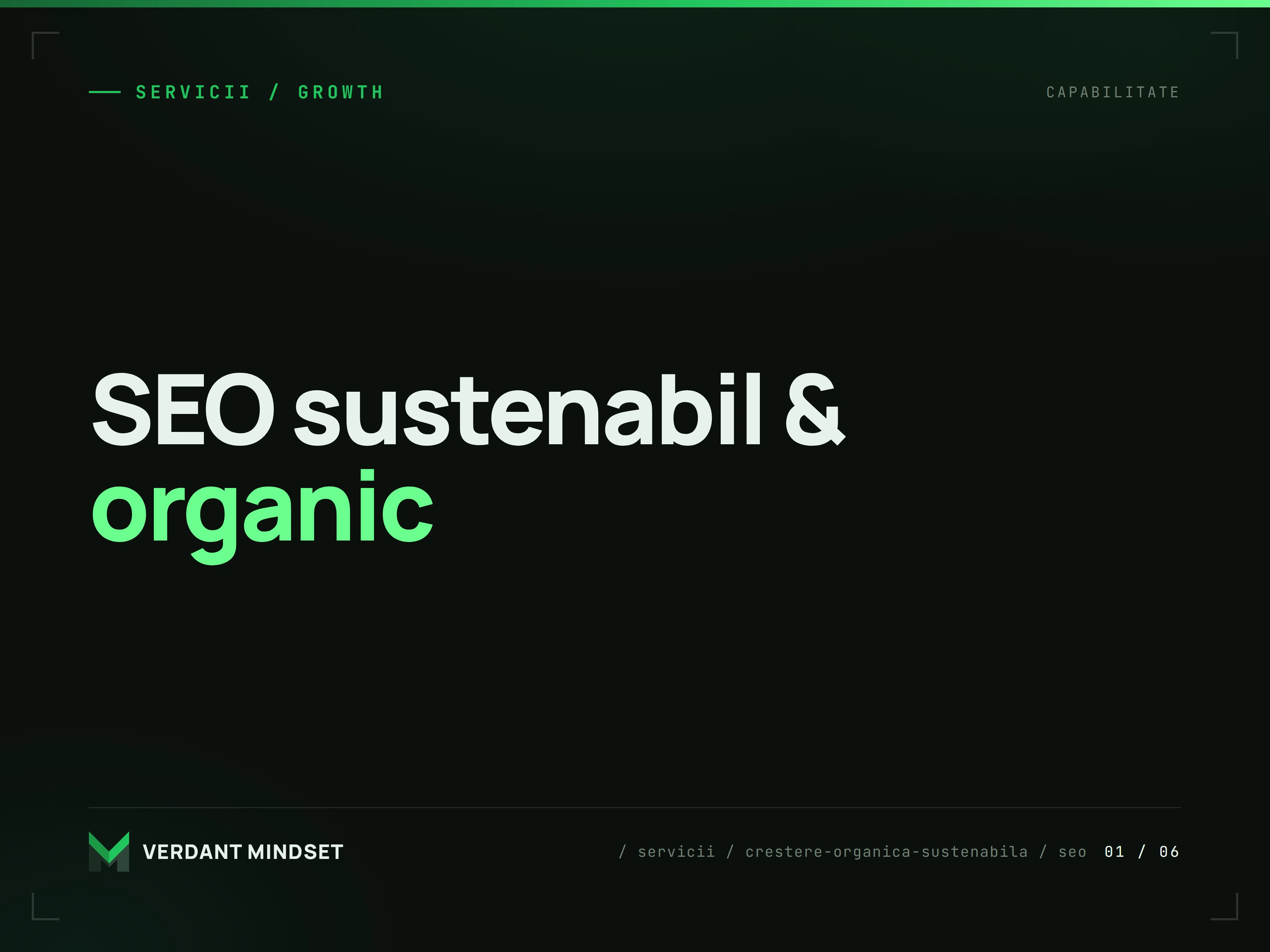 SEO pentru Google și AI Search