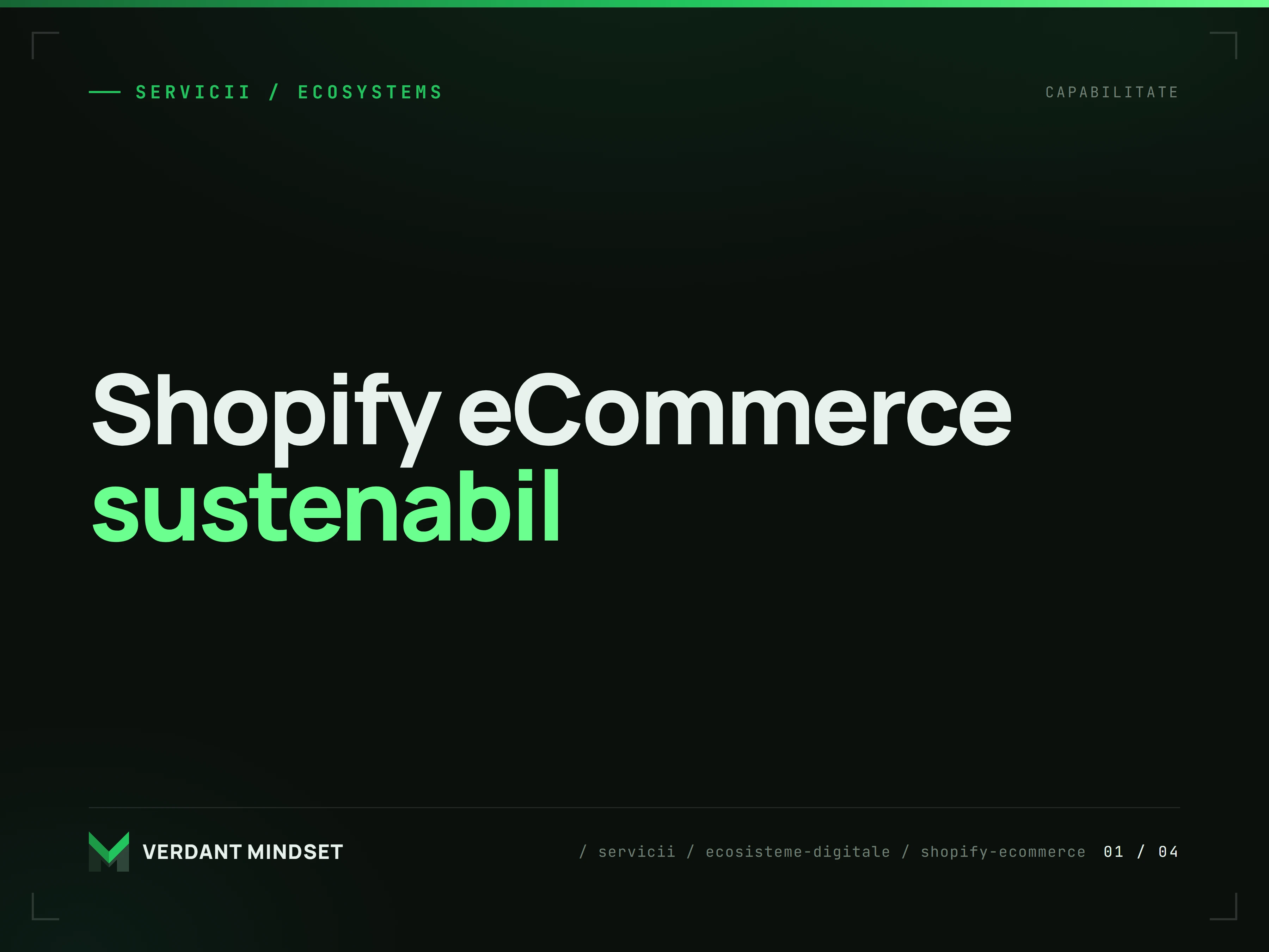 Magazin online rapid pe Shopify