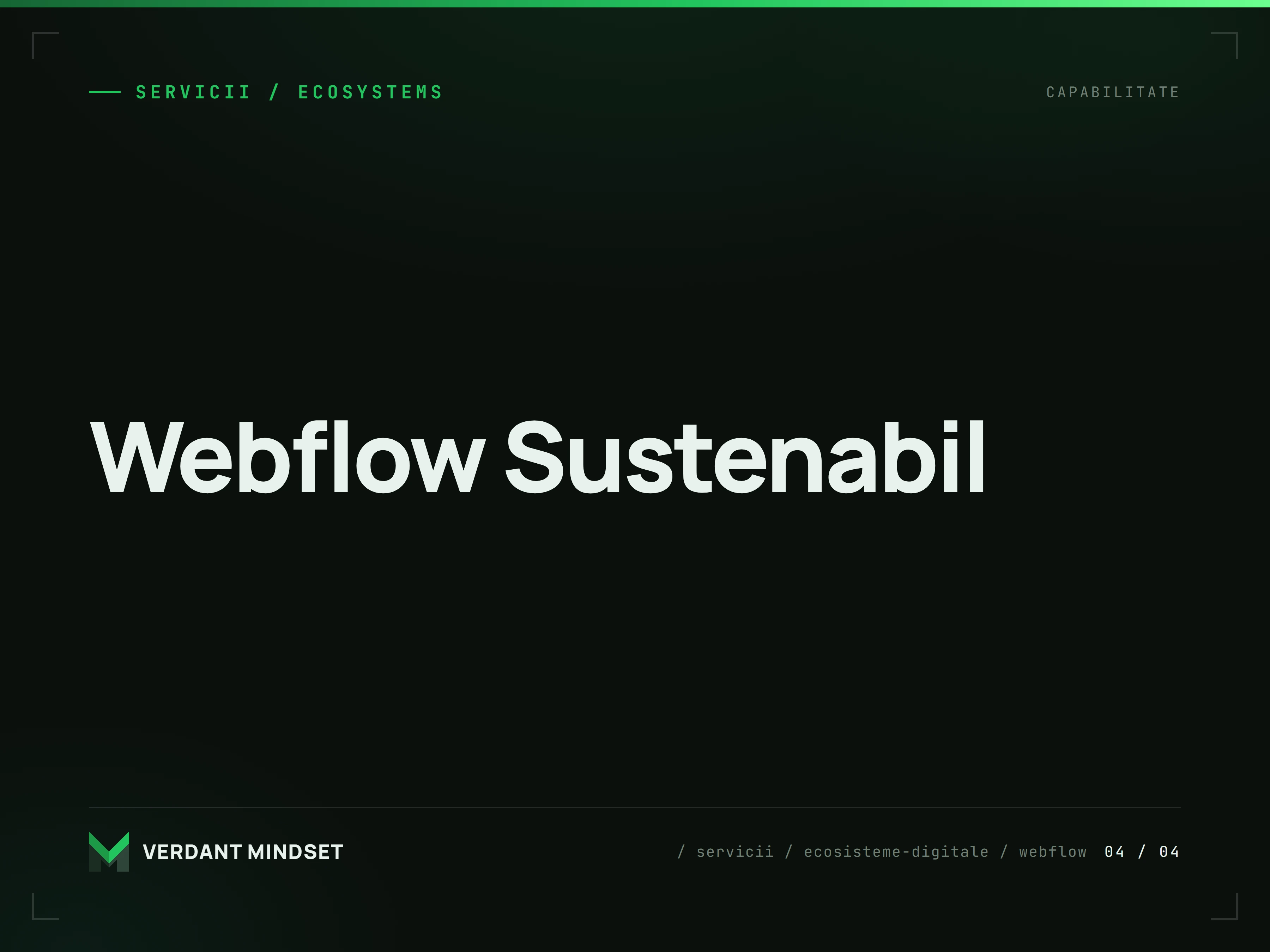 Site Webflow cu automatizări